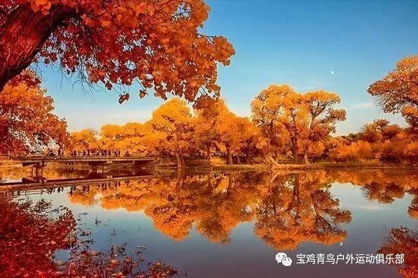 记者：拜仁签加拉塔萨雷后卫博伊基本达成协议
